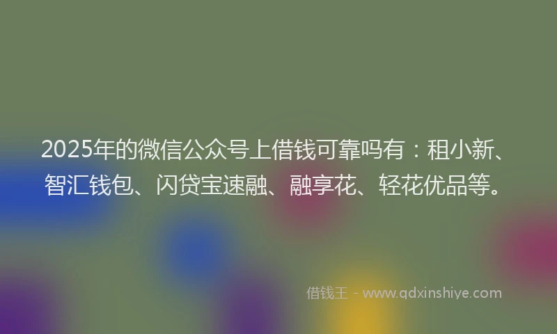 2025年的微信公众号上借钱可靠吗有：租小新、智汇钱包、闪贷宝速融、融享花、轻花优品等。