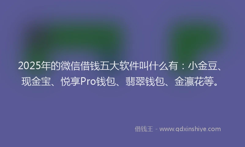 2025年的微信借钱五大软件叫什么有：小金豆、现金宝、悦享Pro钱包、翡翠钱包、金瀛花等。