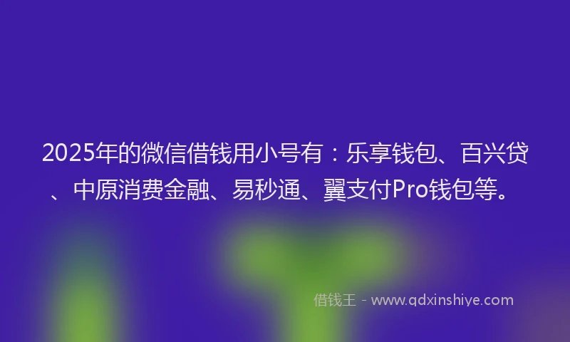 2025年的微信借钱用小号有：乐享钱包、百兴贷、中原消费金融、易秒通、翼支付Pro钱包等。