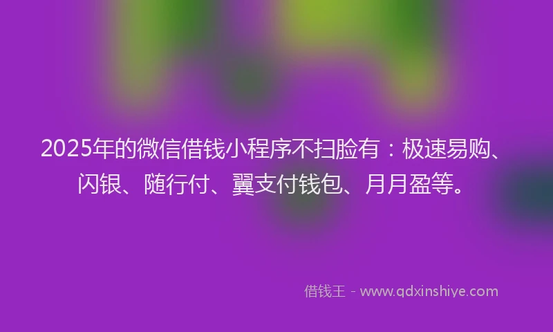 2025年的微信借钱小程序不扫脸有：极速易购、闪银、随行付、翼支付钱包、月月盈等。