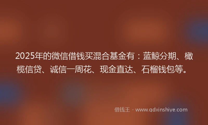 2025年的微信借钱买混合基金有：蓝鲸分期、橄榄信贷、诚信一周花、现金直达、石榴钱包等。