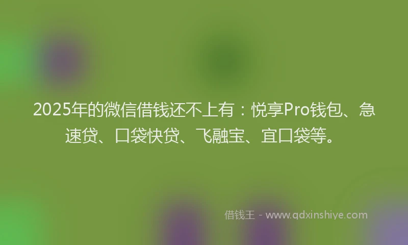 2025年的微信借钱还不上有：悦享Pro钱包、急速贷、口袋快贷、飞融宝、宜口袋等。