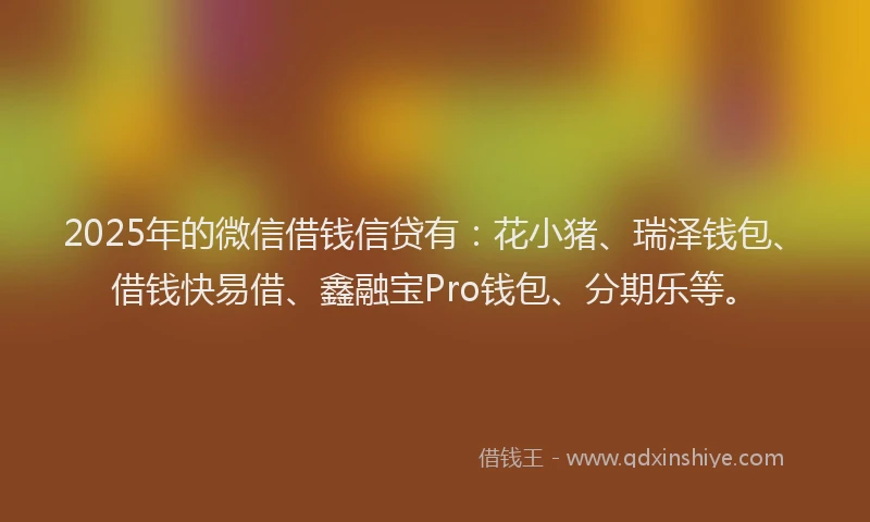 2025年的微信借钱信贷有：花小猪、瑞泽钱包、借钱快易借、鑫融宝Pro钱包、分期乐等。