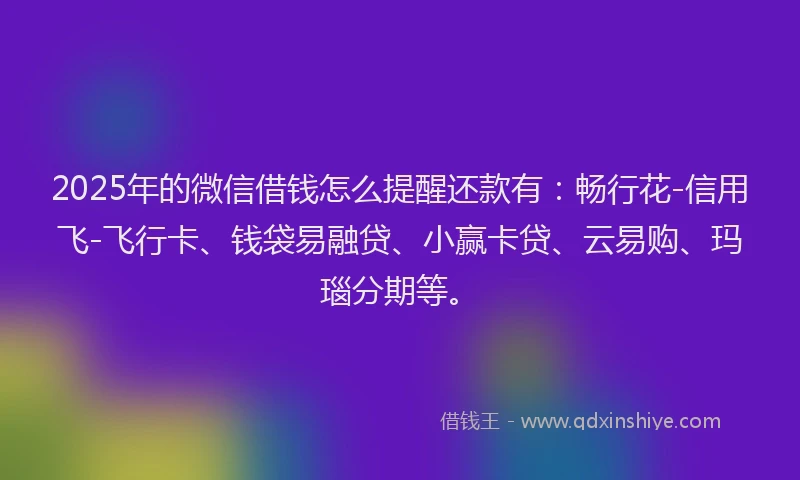 2025年的微信借钱怎么提醒还款有：畅行花-信用飞-飞行卡、钱袋易融贷、小赢卡贷、云易购、玛瑙分期等。