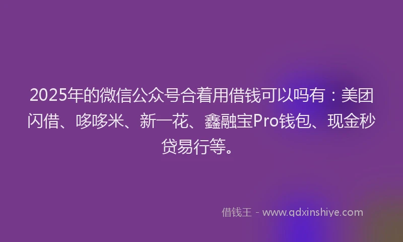 2025年的微信公众号合着用借钱可以吗有：美团闪借、哆哆米、新一花、鑫融宝Pro钱包、现金秒贷易行等。