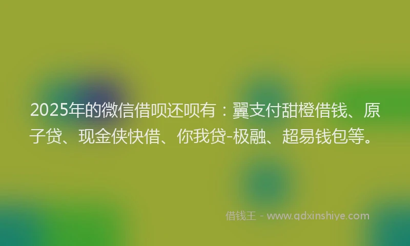 2025年的微信借呗还呗有：翼支付甜橙借钱、原子贷、现金侠快借、你我贷-极融、超易钱包等。