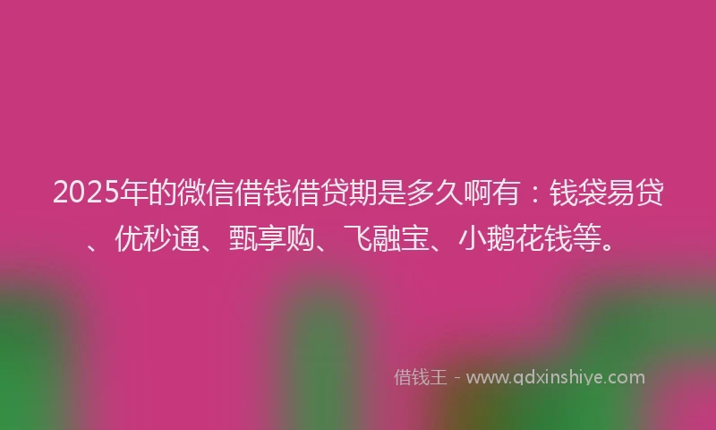 2025年的微信借钱借贷期是多久啊有：钱袋易贷、优秒通、甄享购、飞融宝、小鹅花钱等。