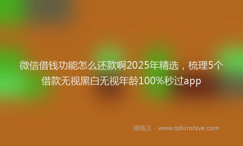 微信借钱功能怎么还款啊2025年精选，梳理5个借款无视黑白无视年龄100%秒过app