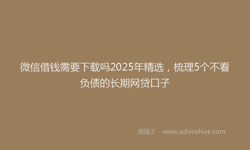 微信借钱需要下载吗2025年精选，梳理5个不看负债的长期网贷口子