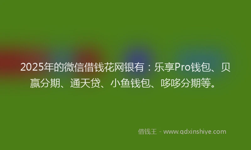 2025年的微信借钱花网银有：乐享Pro钱包、贝赢分期、通天贷、小鱼钱包、哆哆分期等。