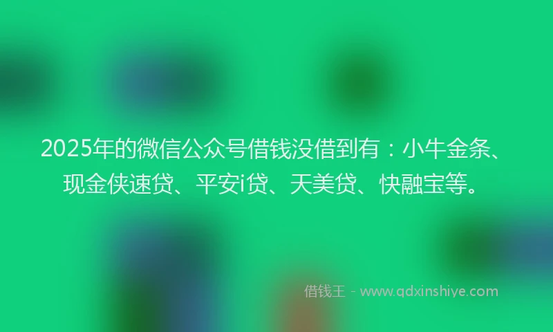 2025年的微信公众号借钱没借到有：小牛金条、现金侠速贷、平安i贷、天美贷、快融宝等。