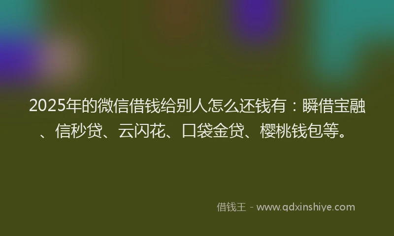 2025年的微信借钱给别人怎么还钱有：瞬借宝融、信秒贷、云闪花、口袋金贷、樱桃钱包等。