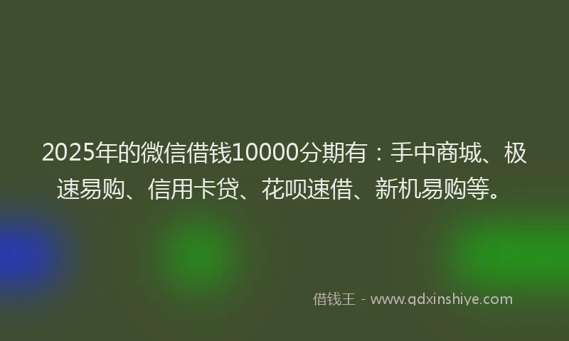 2025年的微信借钱10000分期有：手中商城、极速易购、信用卡贷、花呗速借、新机易购等。