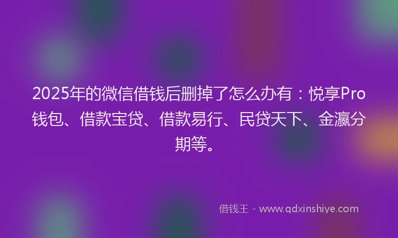 2025年的微信借钱后删掉了怎么办有：悦享Pro钱包、借款宝贷、借款易行、民贷天下、金瀛分期等。