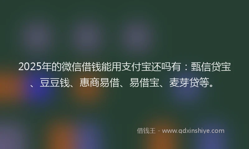 2025年的微信借钱能用支付宝还吗有：甄信贷宝、豆豆钱、惠商易借、易借宝、麦芽贷等。