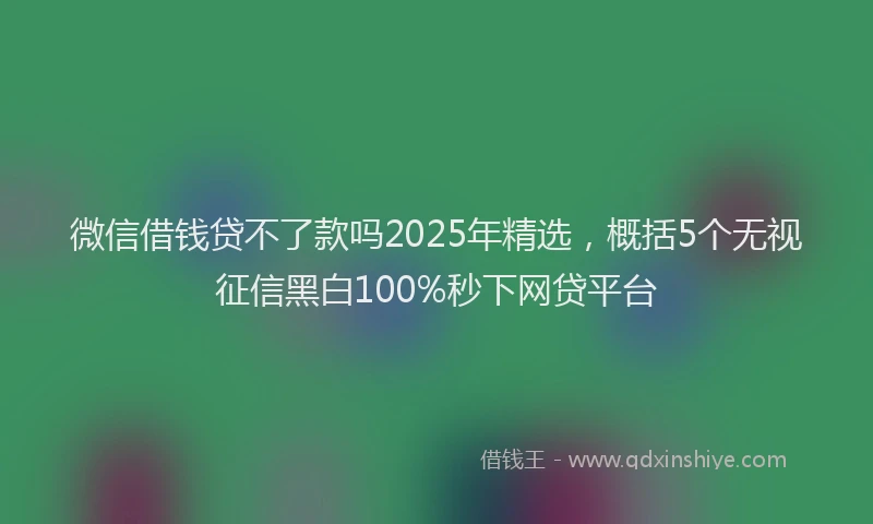 微信借钱贷不了款吗2025年精选，概括5个无视征信黑白100%秒下网贷平台