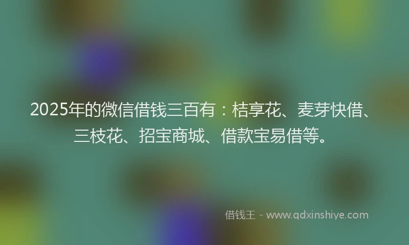 2025年的微信借钱三百有：桔享花、麦芽快借、三枝花、招宝商城、借款宝易借等。