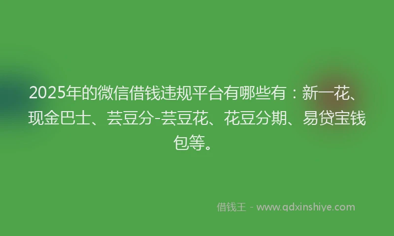 2025年的微信借钱违规平台有哪些有：新一花、现金巴士、芸豆分-芸豆花、花豆分期、易贷宝钱包等。