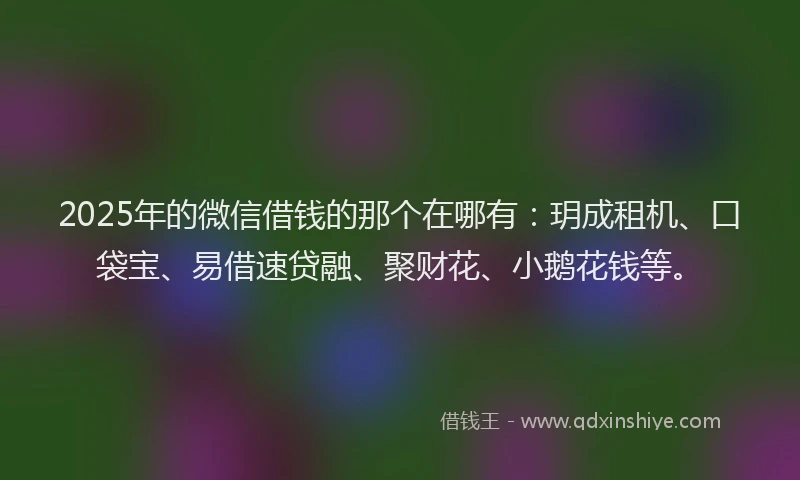 2025年的微信借钱的那个在哪有：玥成租机、口袋宝、易借速贷融、聚财花、小鹅花钱等。