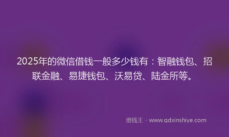 2025年的微信借钱一般多少钱有：智融钱包、招联金融、易捷钱包、沃易贷、陆金所等。