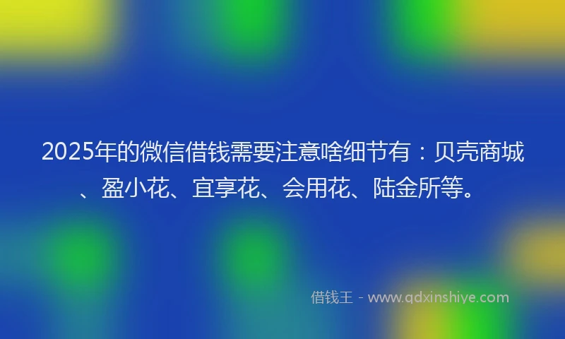 2025年的微信借钱需要注意啥细节有：贝壳商城、盈小花、宜享花、会用花、陆金所等。