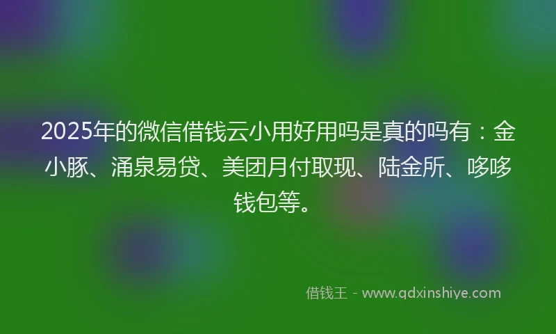 2025年的微信借钱云小用好用吗是真的吗有：金小豚、涌泉易贷、美团月付取现、陆金所、哆哆钱包等。