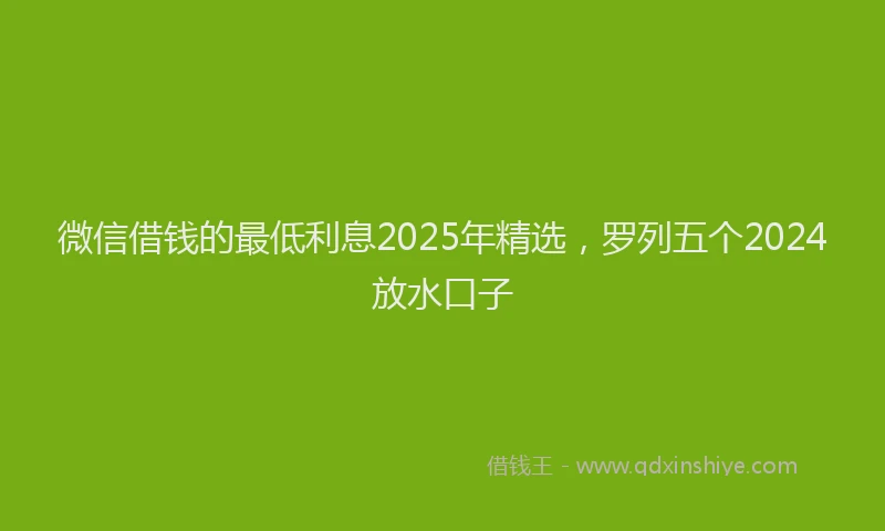 微信借钱的最低利息2025年精选，罗列五个2024放水口子