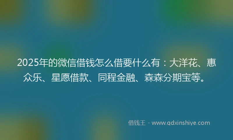 2025年的微信借钱怎么借要什么有：大洋花、惠众乐、星愿借款、同程金融、森森分期宝等。