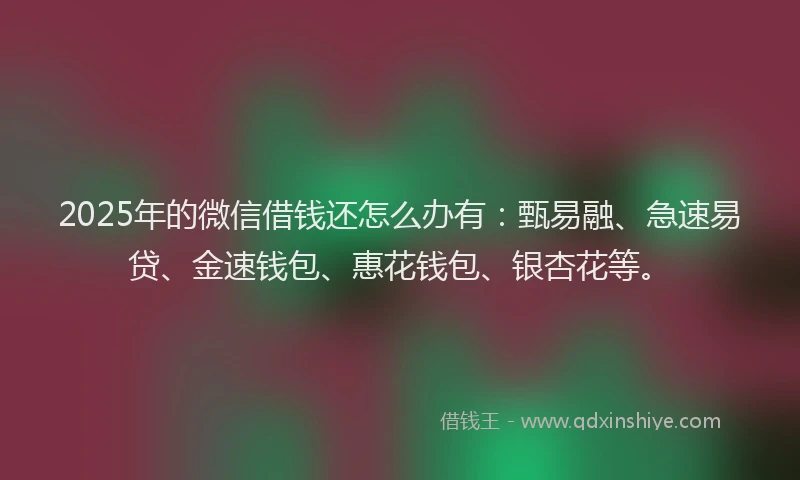 2025年的微信借钱还怎么办有：甄易融、急速易贷、金速钱包、惠花钱包、银杏花等。
