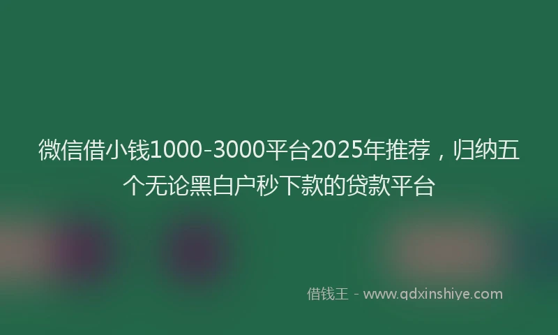 微信借小钱1000-3000平台2025年推荐，归纳五个无论黑白户秒下款的贷款平台