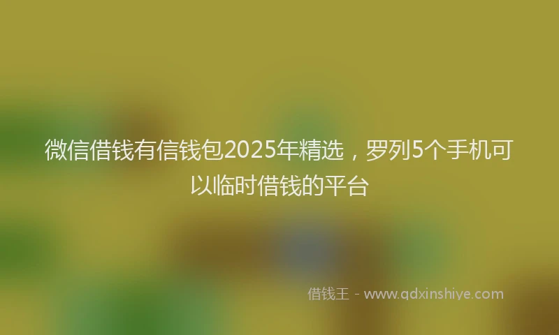 微信借钱有信钱包2025年精选，罗列5个手机可以临时借钱的平台