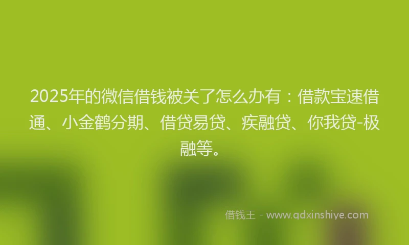 2025年的微信借钱被关了怎么办有：借款宝速借通、小金鹤分期、借贷易贷、疾融贷、你我贷-极融等。