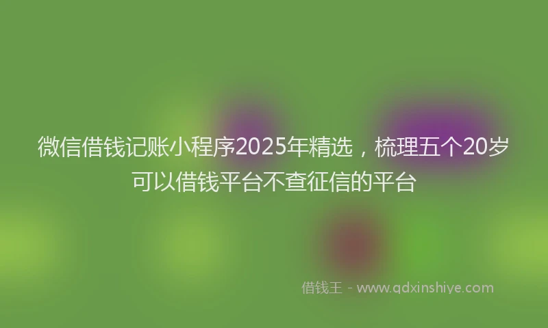 微信借钱记账小程序2025年精选，梳理五个20岁可以借钱平台不查征信的平台