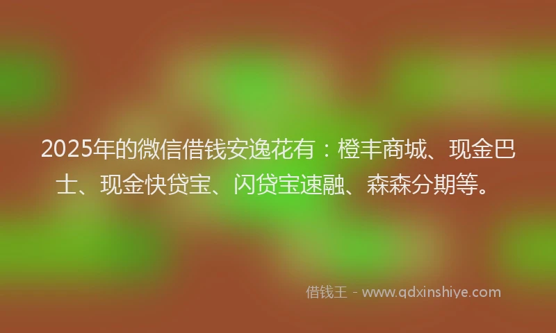 2025年的微信借钱安逸花有：橙丰商城、现金巴士、现金快贷宝、闪贷宝速融、森森分期等。