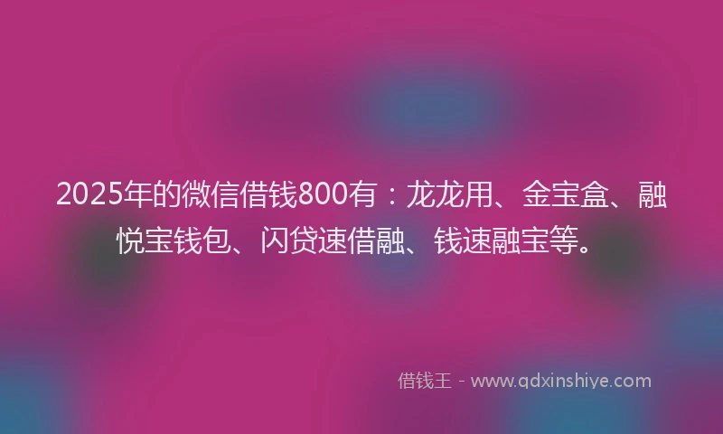 2025年的微信借钱800有：龙龙用、金宝盒、融悦宝钱包、闪贷速借融、钱速融宝等。