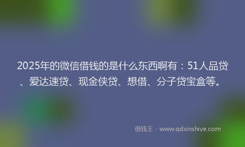 2025年的微信借钱的是什么东西啊有：51人品贷、爱达速贷、现金侠贷、想借、分子贷宝盒等。