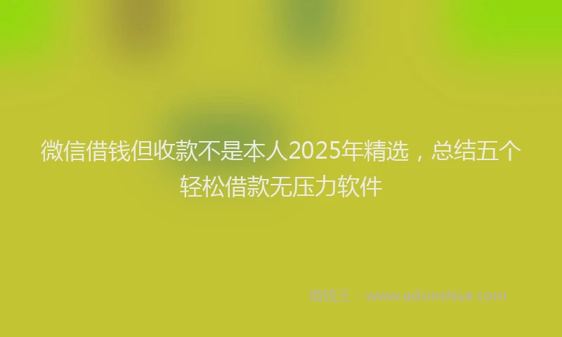 微信借钱但收款不是本人2025年精选，总结五个轻松借款无压力软件
