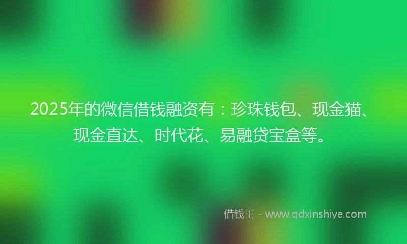 2025年的微信借钱融资有：珍珠钱包、现金猫、现金直达、时代花、易融贷宝盒等。