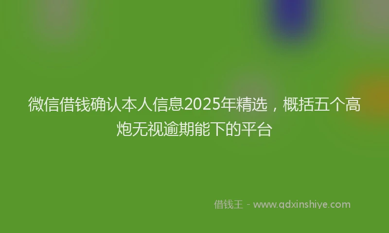 微信借钱确认本人信息2025年精选，概括五个高炮无视逾期能下的平台