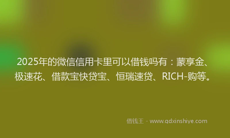 2025年的微信信用卡里可以借钱吗有：蒙享金、极速花、借款宝快贷宝、恒瑞速贷、RICH-购等。