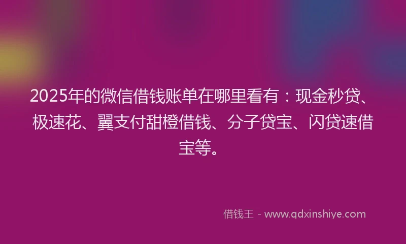 2025年的微信借钱账单在哪里看有：现金秒贷、极速花、翼支付甜橙借钱、分子贷宝、闪贷速借宝等。