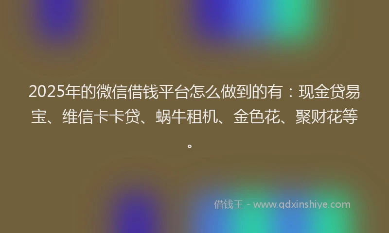 2025年的微信借钱平台怎么做到的有：现金贷易宝、维信卡卡贷、蜗牛租机、金色花、聚财花等。