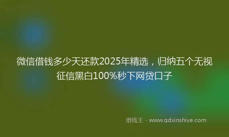 微信借钱多少天还款2025年精选，归纳五个无视征信黑白100%秒下网贷口子