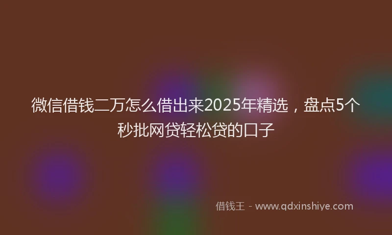 微信借钱二万怎么借出来2025年精选，盘点5个秒批网贷轻松贷的口子