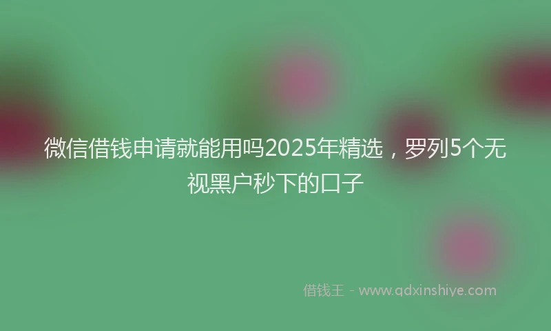 微信借钱申请就能用吗2025年精选，罗列5个无视黑户秒下的口子