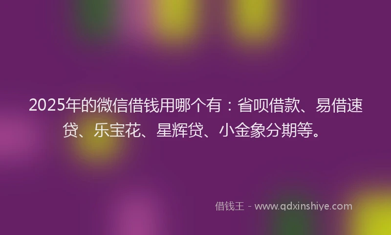 2025年的微信借钱用哪个有：省呗借款、易借速贷、乐宝花、星辉贷、小金象分期等。