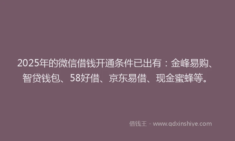 2025年的微信借钱开通条件已出有：金峰易购、智贷钱包、58好借、京东易借、现金蜜蜂等。