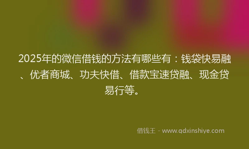 2025年的微信借钱的方法有哪些有：钱袋快易融、优者商城、功夫快借、借款宝速贷融、现金贷易行等。