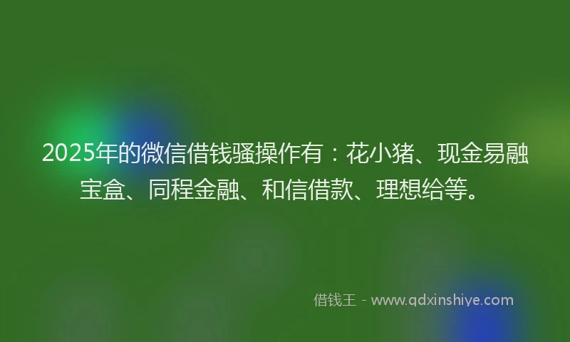 2025年的微信借钱骚操作有：花小猪、现金易融宝盒、同程金融、和信借款、理想给等。