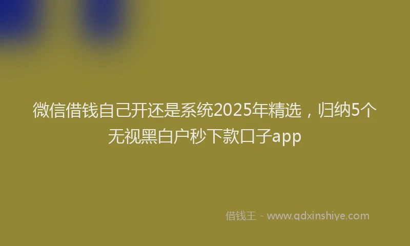 微信借钱自己开还是系统2025年精选，归纳5个无视黑白户秒下款口子app
